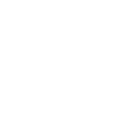 Hatchback Car